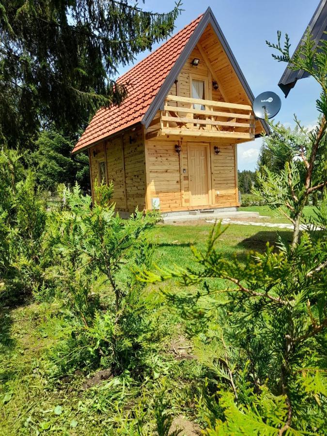 Villa Tisina Tare à Bajina Basta Extérieur photo