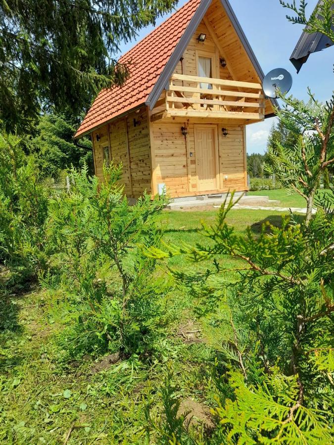 Villa Tisina Tare à Bajina Basta Extérieur photo